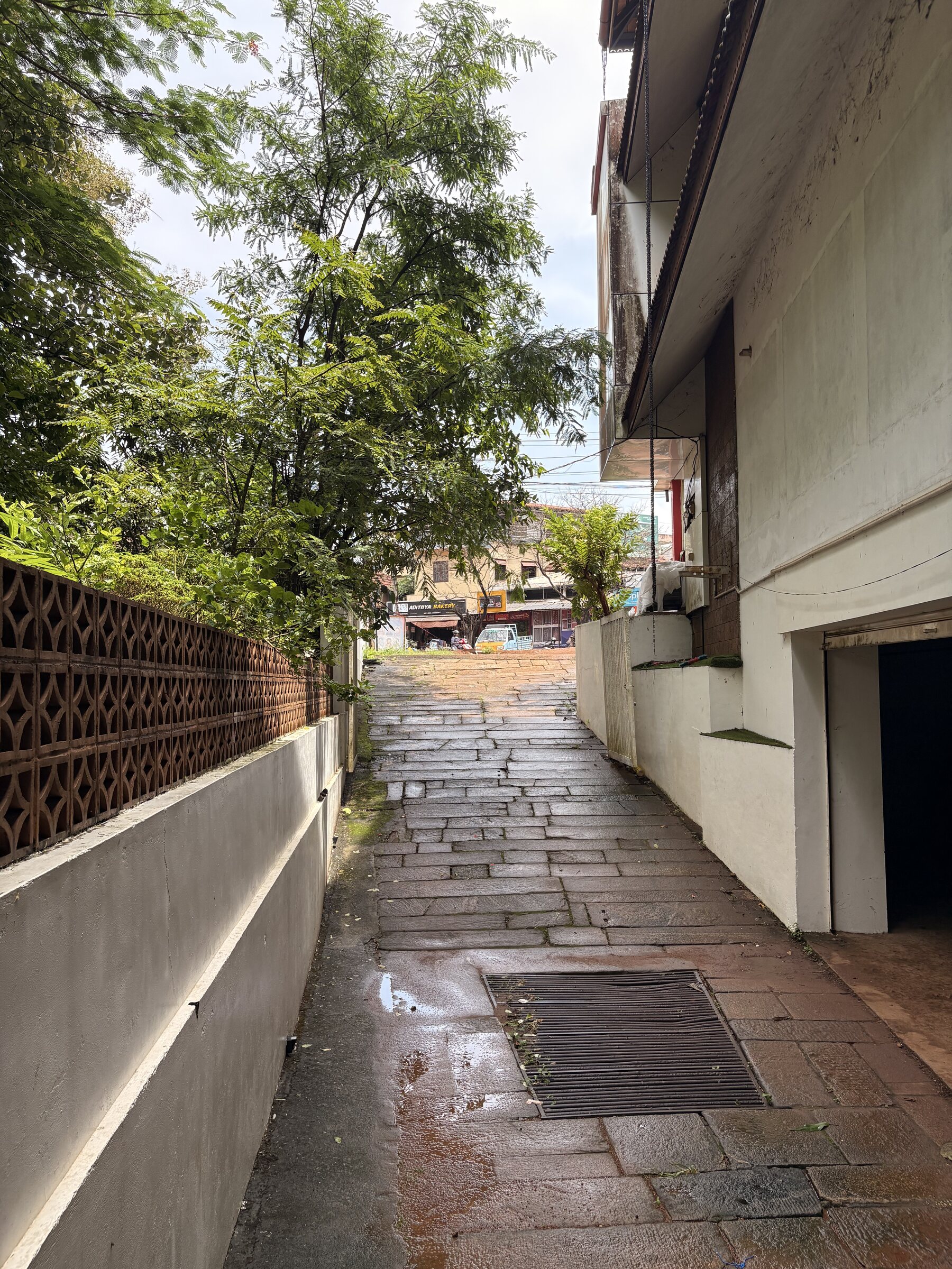 Side access path and front-yard approach
